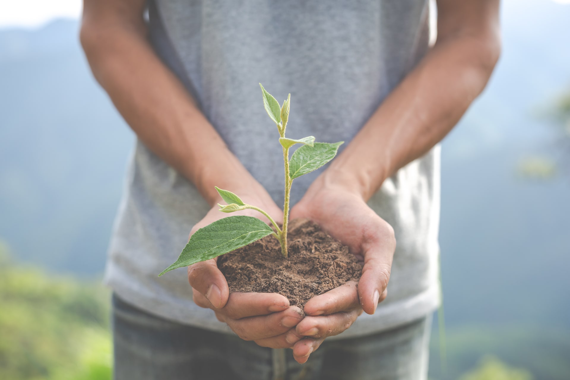 Responsabilidade Ambiental